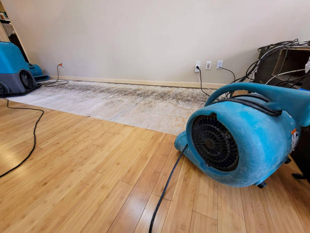 Professional Water Removal technician working in Canyon, TX